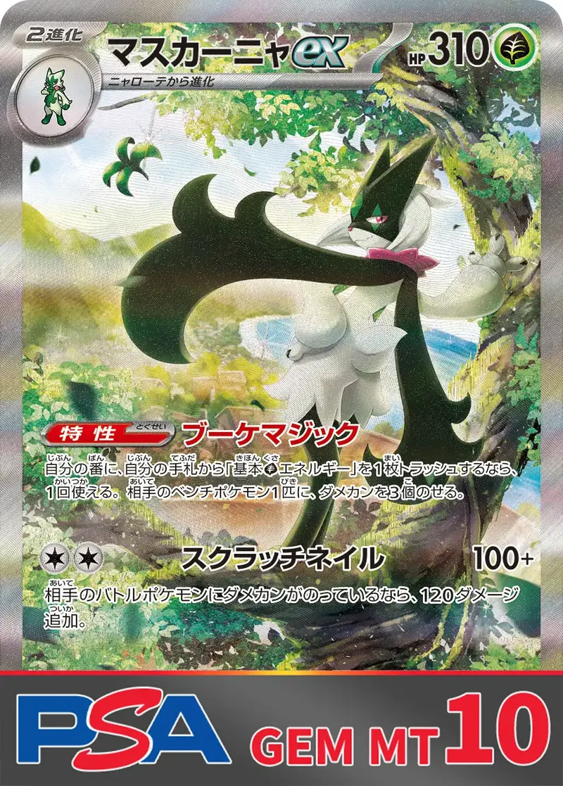 マスカーニャex PSA10｜ポケモンカードゲーム