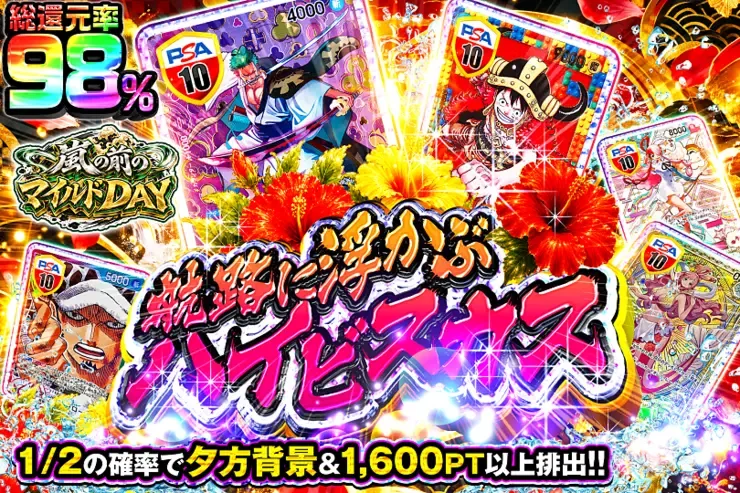 嵐の前のマイルドDAY 航路に浮かぶハイビスカス｜DOPA!オリパ