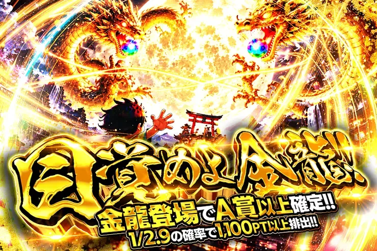 目覚めよ金龍!!｜DOPA!オリパ
