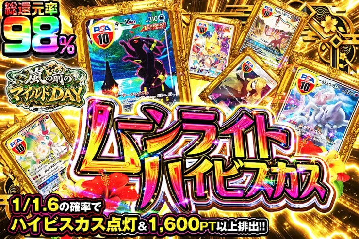 嵐の前のマイルドDAY ムーンライトハイビスカス｜DOPA!オリパ
